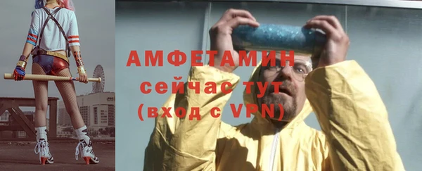 прущие грибы Балабаново