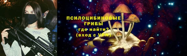 прущие грибы Балабаново