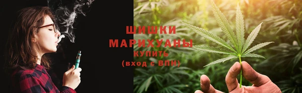 прущие грибы Балабаново